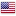 USA Flag